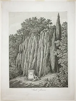 Heritage Art Prints For Sale Drucke: Weeping Willow, 1802. Creator: Jacob Philip Hackert