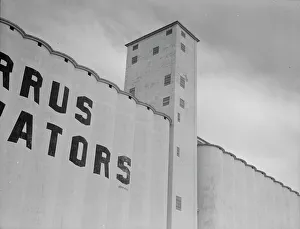 Dorothea Lange Photographer Drucke: Western Texas grain elevator, 1937. Creator: Dorothea Lange