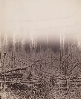 Das Wildnisfeld, 1864; Künstler unbekannt
