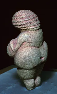 Die Venus von Willendorf