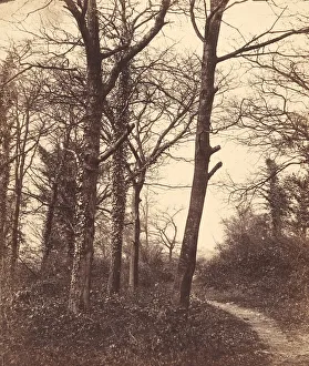 Nineteenth Century Countryside Scenes Drucke: Winter, 1855. Creator: Charles Conway