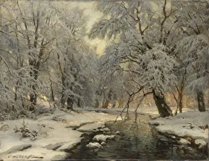 Hoarfrost On Trees Drucke: Winter in the Forest, c1930