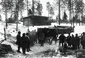 Im Wald, 1890. Künstler: Unbekannt.