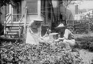 American Agriculture Drucke: Wright & Dietrich, between c1915 and c1920. Creator: Bain News Service