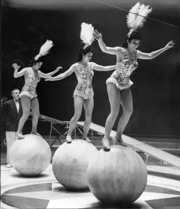 Vintage Circus Performers Drucke: Circus performers
