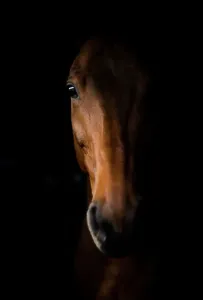 Warum der lange Gesichtsausdruck?