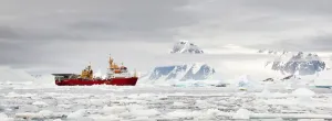 Die Königliche Marine Drucke: Rumpf HMS Protektor im Antarktis