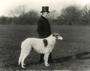 Thomas Fehl mit Borzoi