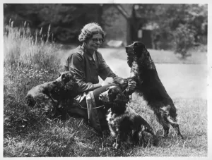 Fell/cockerspanieler/1936