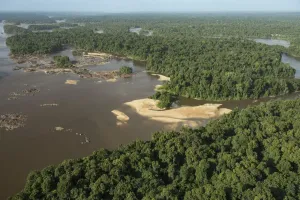 Fluss Essequibo im Regenwald von Guyana