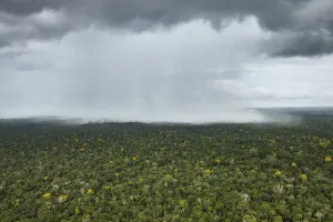 Rainforest Photography Drucke: Rain falling over rainforest, Essequibo River, Rupununi, Guyana