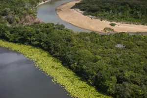Der Rupununi-Fluss fließt durch Regenwald in der Region Rupununi im Land Guyana