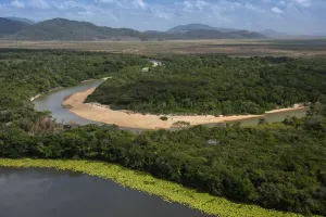 Der Rupununi-Fluss fließt durch Regenwald in der Region Rupununi im Land Guyana