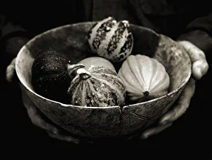 Cucurbita Pepo Images Drucke: AKC_0088