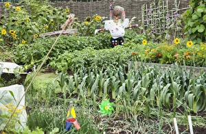 Allotment