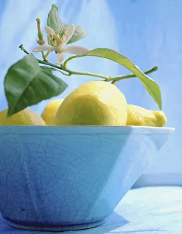BA_0082A