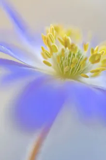 Blaue gelb weich abstrakt