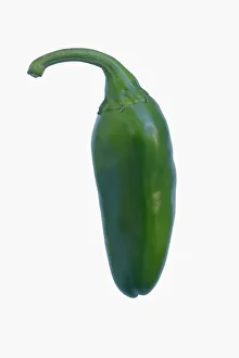 Studio Shot Of Chillies Drucke: Chilli, Jalapeno chilli, Capsicum annuum