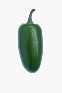 Zwiebeln, Jalapeño Zwiebeln, Paprika annua; Studieaufnahme grüner Frucht gegen weißen Hintergrund