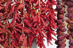 Kapselfrucht, Capsicum annuum