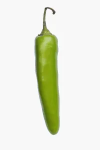Capsicum Annuum Drucke: Chilli, Serrano Chili, Capsicum annuum Serrano, Studio shot of green fruit against