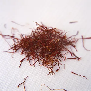 Crocus Sativus Drucke: Crocus, Saffron crocus, Crocus sativus