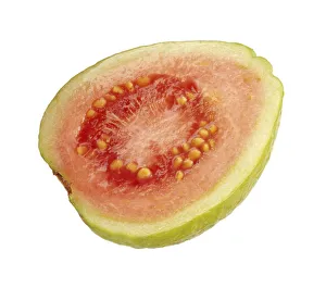 CS_3088