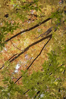 Bilder Datiert 2013 Oktober: CS C09-4268