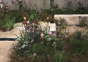Ich bin Iris Kent, stolz auf meine Tochter Iris Brown