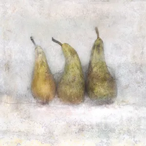 Birne, Pyrus communis