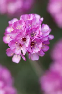 Bilder Datiert 2011 August: Punkt vierundfünfzigdrei
