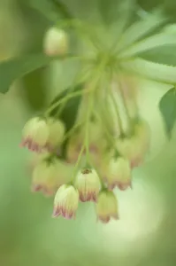 Bilder Datiert 2011 August: PT 0545