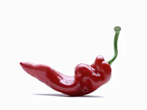 White Background Food Pics Drucke: RF_0087