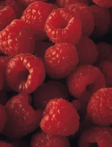 Raspanida rubellum Rubus Rotfallen