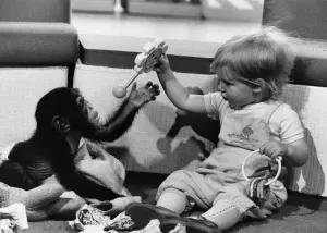 00000 Drucke: Tiere - Kinder mit Affen, Teilen ... Benji spielt mit seinem neuen Freundin Gemma Heath
