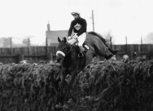 Drucke von Der Grand National 1973 mit dem Pferd Red Rum unter Sitz von Brian Fletcher springt eine Stange und gewinnt danach Spiegel-Archiv Drucke: Der Grand National 1973 mit dem Rennpferd Red Rum unter Sattel von Brian Fletcher springt über einen Zaun und gewinnt