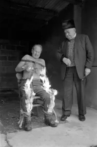 00031 Drucke: Lügner Lügner Hose brennt. Fühlt man sich kalt? Hier ist ein Herrchen.