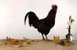 00098 Drucke: Ein Hahn steht auf einem Tisch neben einer Schüssel Cornflakes und einem Glas Orangensaft