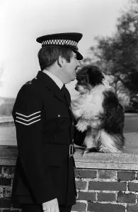 Vintage Animal Photos Drucke: Pippin the 4 year old crossbred dog with Sergeant Dick Smith