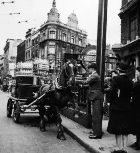 London Underground History Drucke: Milk Cart, restive horse in Shafts, taken in Holborn June 1946