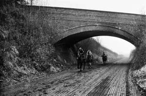 Rutland Drucke: Hans Kenealy führt eine Zehnhengstgruppe in Clipsham