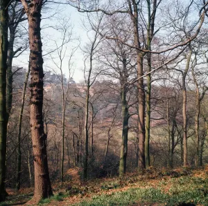 Alderley Edge, Cheshire - April 1974