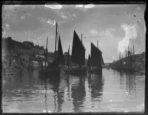 Boote auf der Loewe in Loez