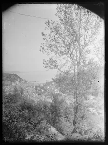 South West England Photos Drucke: Looe & The Bay, general view from West Looe Downs