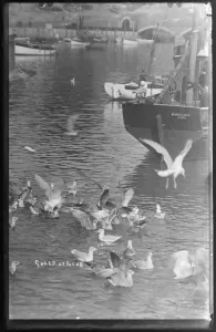 Die Leuchtscheinwerfer von Loe sailt auf der Loer Fluss zu Bruegge