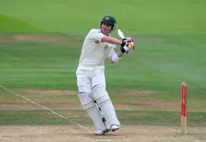 Brad Haddin