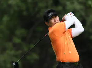 Y. E. Yang
