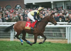Horse Racing In The UK Drucke: Antours