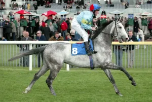 Classic Horse Racing Moments Drucke: Constantine