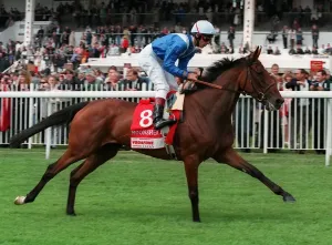 Horse Racing Pictures UK Drucke: Moonshell